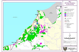 Engages in the cultivation of oil palms and the operation of palm oil mills. Land Alienated For Oil Palm Estates In Miri Bintulu Region Sarawak By Download Scientific Diagram
