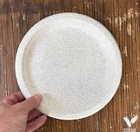 50 Assiettes pulpe de blé. Biodégradables 23 cm