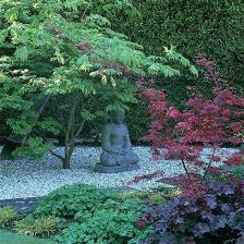 Eastern Style Garden A Shady Courtyard Of Pebbles And Brick Paths Filled With Acers Hellebores F Japanese Garden Japanese Garden Design Front Yard Landscaping