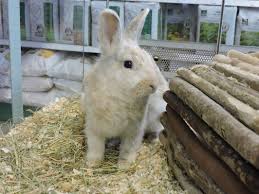 Tous nos sacs sont imprimés avec une encre « verte » à base d'eau et végétale conseils 3bois. Gamm Vert Fontenay Le Comte Magasin Du Reseau Jardineries Cavac