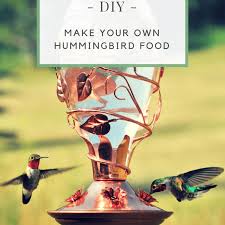 We will discuss here how to hummingbird nectar made properly in a glass holder is best. A Super Easy Recipe For Hummingbird Food Dengarden