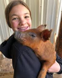 EmmaLee and her new friend “Fatty Patty!” #pig #pigsofinstagram #feederpigs  #bacon #homegrownfood