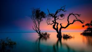 Rainbow Sunset 1080p 2k 4k 5k Hd Wallpapers Free Download Wallpaper Flare