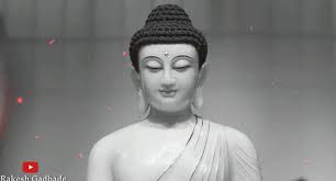 Whatsapp status video & photo download without any app sinhalahow to download whatsapp status photos & videos without any app sinhala | save whatsapp status. Gautam Buddha Status Video For Whatsapp Download For Free For 2021