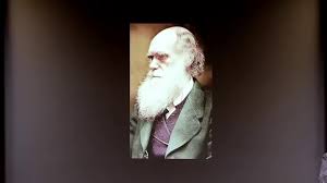 Why Only Us Language And Evolution Language Massachusetts Institute Of Technology Evolution