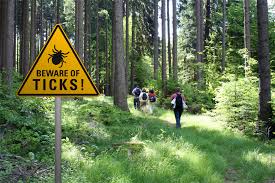 What You Need To Know About Lyme Disease And How To Avoid It Keck Medicine Of Usc