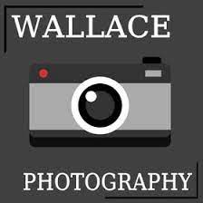 Wallace Photography Wallacephotography - Profile Pinterest