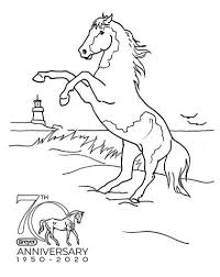 Printable happy new year 2021 coloring pages for kids.free online print out happy new year 2021 coloring sheet for kids. 2020 2021 Magalog Coloring Contest Breyerhorses Com