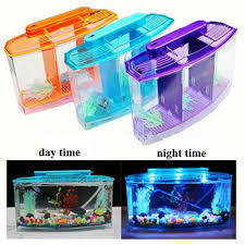 Betta fish has been since early times of its discovery been used for fight shows which started in. Acrylic 3 Splits Aquarium Betta Fish Bowl Led Light Aquarium Incubator Hatchery Breeding Box Fish Tank Turtle Reptile House Buy Cheap In An Online Store With Delivery Price Comparison Specifications Photos