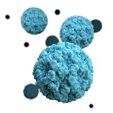 Oral rehydration solutions may be used. Norovirus Wikipedia