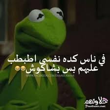 صور مضحكة الضفدع كيرميت كومنتات مصورة مضحكة اضحك مع كرميت منتدي حلاوتهم Funny Comments Funny Qoutes Funny Quotes