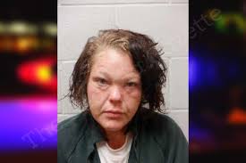 Amanda Chaney — Henry County Jail Bookings