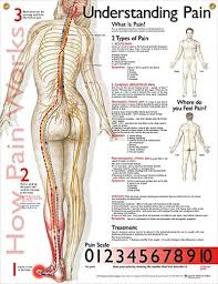 Pin On Fibro 99 Problems