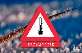 Uwaga! Będą przymrozki! - Ostrzeżenie meteorologiczne - Głos Słupcy