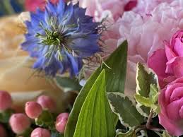 Choose from a selection of mother's day flowers including roses, tulips, carnations & orchids. Floraldaily Global Flower News