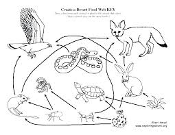 Here is a collection of some easy coloring pages for preschoolers for your young children. Desert Animals Drawing For Kids Novocom Top