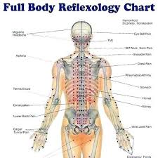 foot pressure points online charts collection