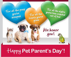 Pets should be taken for regular annual check ups (or as otherwise recommended by their vet) and vaccinated with licensed products as 0800: Compare Affordable Online Pet Insurance Quotes And Rates For Your Dog Or Cat Pet Care Business Pets Happy Animals