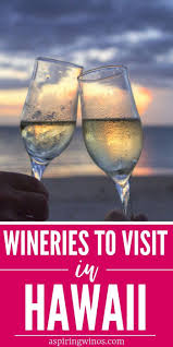 Checking Out Hawaiian Wineries Fruit Wine Winery Wine