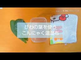 癌とはらぺこ びわの葉を使うこんにゃく温湿布 Youtube