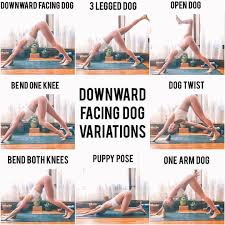 Check spelling or type a new query. Let S Get Down Dog Downward Facing Dog Might Be The Most Popular Yoga Pose Here Are Fun Variations To Popular Yoga Poses Downward Facing Dog Puppy Pose