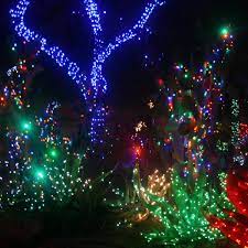 Who needs christmas trees when you have christmas cacti? Christmas Lights 2 Trendi Stuff Cute Christmas Wallpaper Christmas Lights Wallpaper Christmas Pictures With Lights