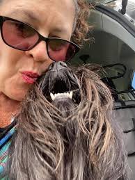 Enjoyed expedition to local reserve with Alfreda