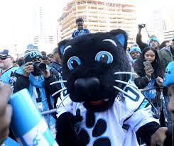 She was used as a mascot as well. Carolina Panthers Which Awards Did Sir Purr His Video Win Charlotte Observer
