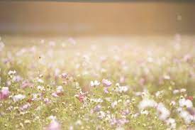 Below are several free photoshop backgrounds that i got from texture warehouse. 100 000 Best Digital Background Photos 100 Free Download Pexels Stock Photos