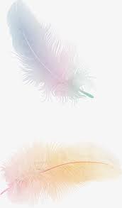 Feather Floating Feather Fine Feathers Floating Fine Feathers Feather Wallpaper Feather Background Feather Wallpaper Iphone