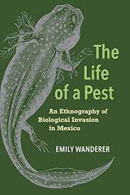 The buddhist teachings provide plentiful advice about how to lead our daily lives. The Life Of A Pest An Ethnography Of Biological Invasion In Mexico English Edition Ebook Wanderer Emily Amazon De Kindle Shop