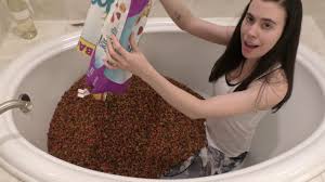 Cat food bath creature pictures. Cat Food Bath Punishment Youtube