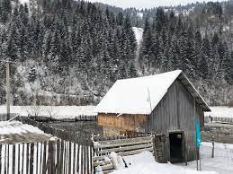 8.8 km from poiana teiului. Actualizare Foto BistriÅ£a A Iesit Din MatcÄƒ La Poiana Teiului