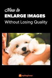 How To Resize An Image In Photoshop Without Losing Quality How To Resize And Make Images Larger Without Losing Quality Photo Editing Tutorial Photo Editing Software Photography Basics