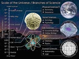 Branches Of Science Physical Social Life And Formal Branches Of Science Scale Of The Universe Science