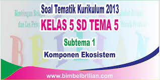Download Soal Tematik Kelas 5 Sd Tema 5 Subtema 1 Komponen Ekosistem Dan Kunci Jawaban Bimbel Brilian