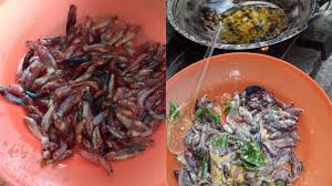 Check spelling or type a new query. Geger Ikan Cupang Dimasak Jadi Peyek Warganet Dompet Nangis Lihat Ini Kumparan Com
