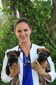 We did not find results for: Highland Pet Hospital Home Facebook