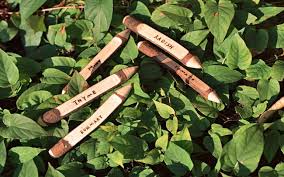 Pch offers fun quizzes on a wide range of topics. Pros And Cons Of Gardening In Kansas Homestead On The Range