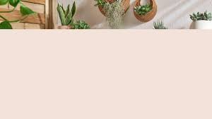 Maybe you would like to learn more about one of these? Outdoor Garden George At Asda