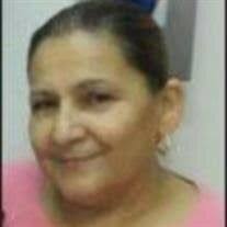 Claudia Fuentes's Instagram, Twitter & Facebook