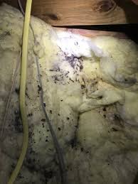 How much does a pest control technician make in fort myers, fl? Tempco Pest Control 4735 Palm Beach Blvd Fort Myers Fl Pest Control Mapquest