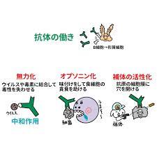 twitter 医学 理系 医療