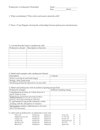 Prokaryotes Vs Eukaryotes Worksheet