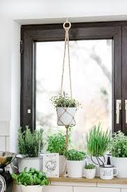 Krautergarten In Der Kuche Urban Jungle Der Jungle Kitchenherbgarden Krautergarten Kuche When Y In 2020 Herb Garden Design Urban Jungle Diy Planters Indoor
