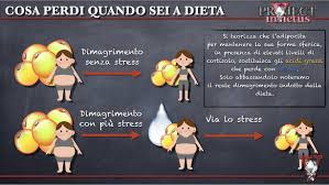 Perche Non Dimagrisco Quando Il Metabolismo Si Blocca Project Invictus