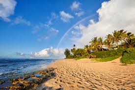 Getting something to hawaii for a fair price shouldn't require a degree in shipping. Frequently Asked Questions About Shipping To Hawaii Hawaii Life