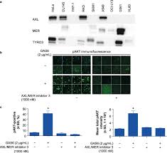 Image result for pakt ribbentrop-mo