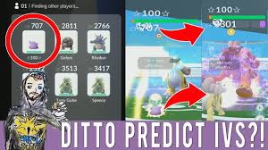 what happens when you use a perfect ditto against a raikou can 100 iv ditto predict raid boss ivs