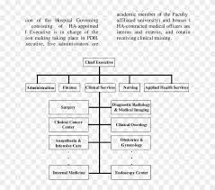 organizational chart of princess diana hospital imaging